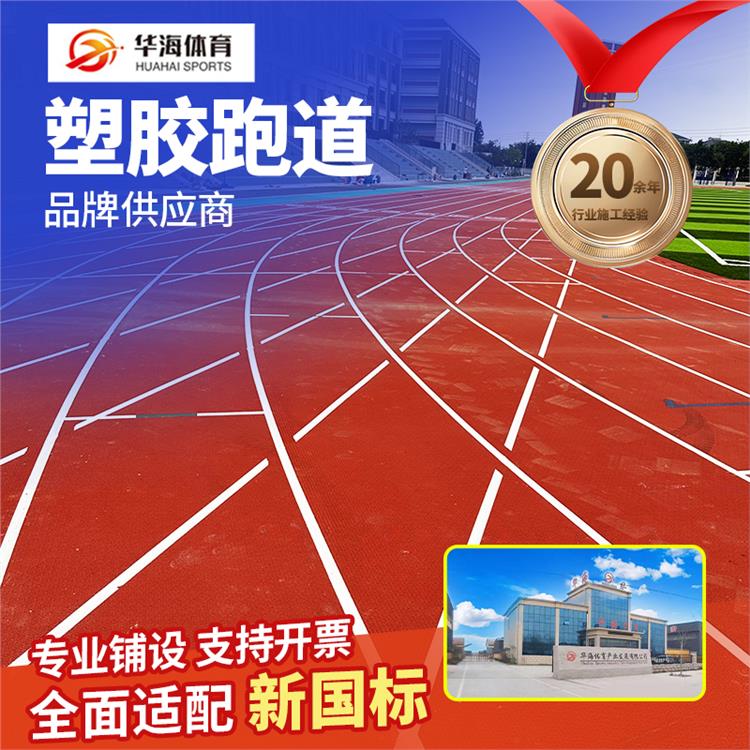 嘉峪关市半预制卷材预制型橡胶跑道 - 厂家